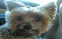 Profile picture of Deedee