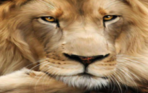 Profile picture of Jon