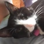 Profile picture of nell