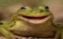 Profile picture of Sarah