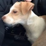 Profile picture of Kimberly