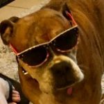 Profile picture of Crystal