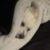 Profile picture of Nandhini
