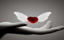 Profile picture of Barbie 954