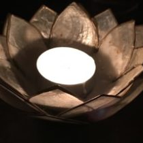 Profile picture of Sunny