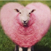 Profile picture of Knitsalot