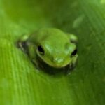 Profile picture of ray