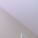 Profile picture of Zaria