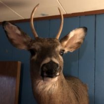 Profile picture of Julie
