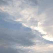 Profile picture of Samantha