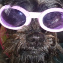 Profile picture of Dashene