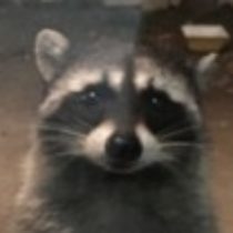 Profile picture of Screaming Mimi