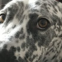 Profile picture of Ben