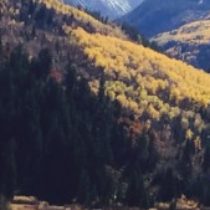 Profile picture of gloria