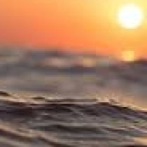 Profile picture of cleanclearhappy